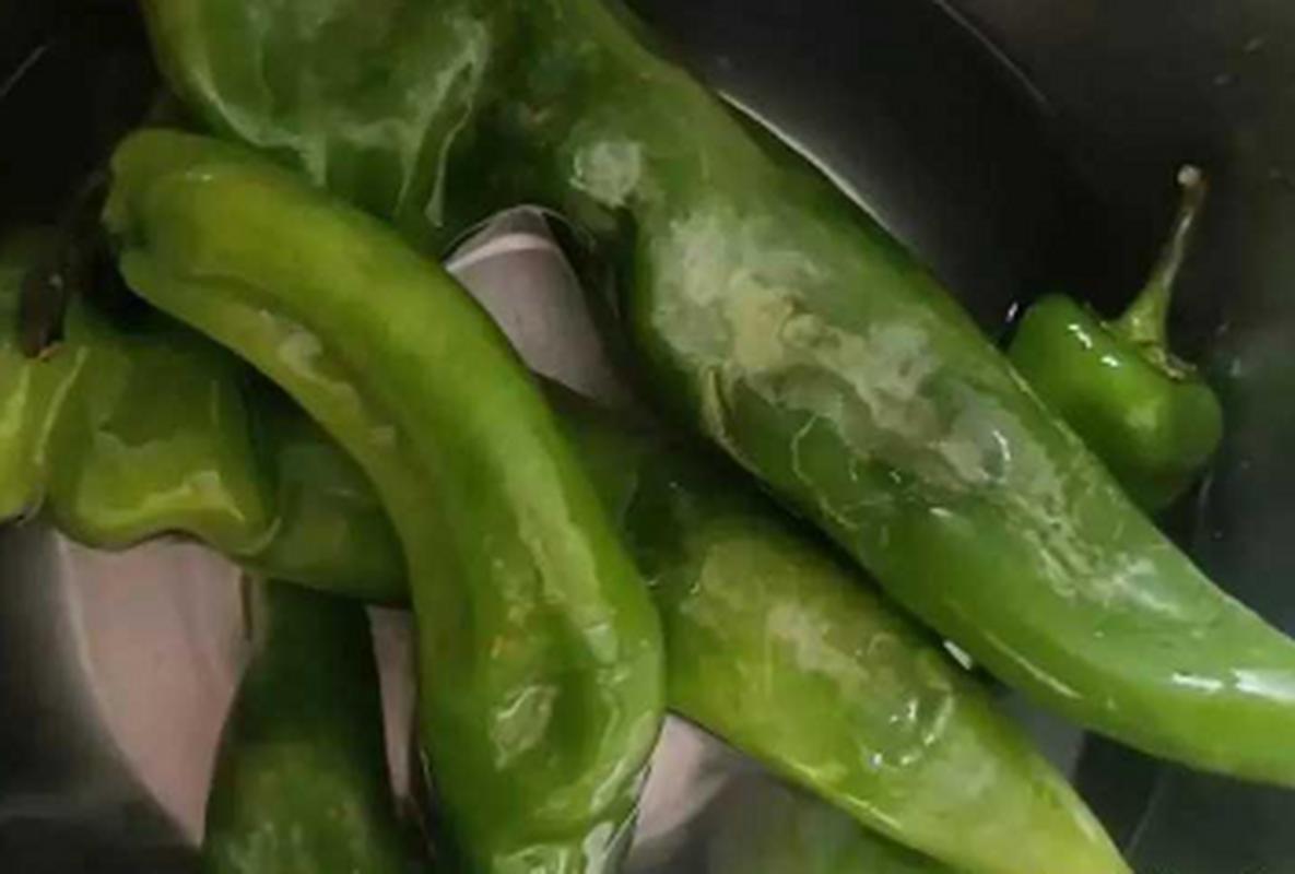 B面：酿失败的青椒在冰箱里站岗