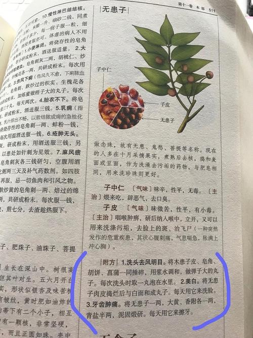 《波函数坍缩前的羊排：一次关于湛江、青海与莫奈的味觉观测》