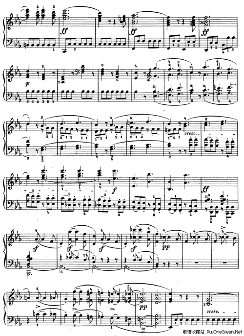 《蹄响与潮音：降E大调猪蹄赋格曲》