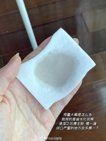 【味觉耐受度校准协议】.exe