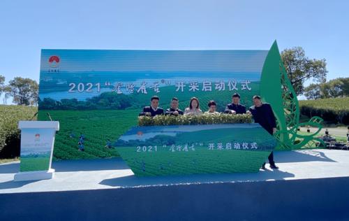 【孔位谱】C-59-水蟹粥变奏：潮汐频率与分子解构