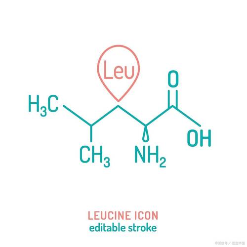 【实验记录】联觉编码：青灰雾霭与绵密质地的味觉转译——以《红楼梦》茯苓霜为基质的痰湿调理餐相变观察