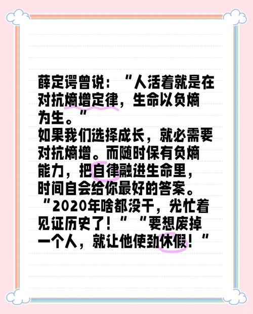 【沙画转场】熵减厨房：男性掌勺的秩序宣言