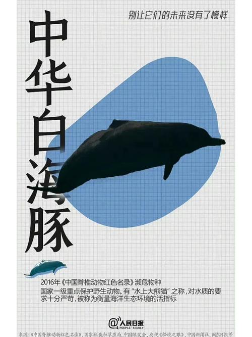 【物种档案】橙甲醉游蟹·栖山纪