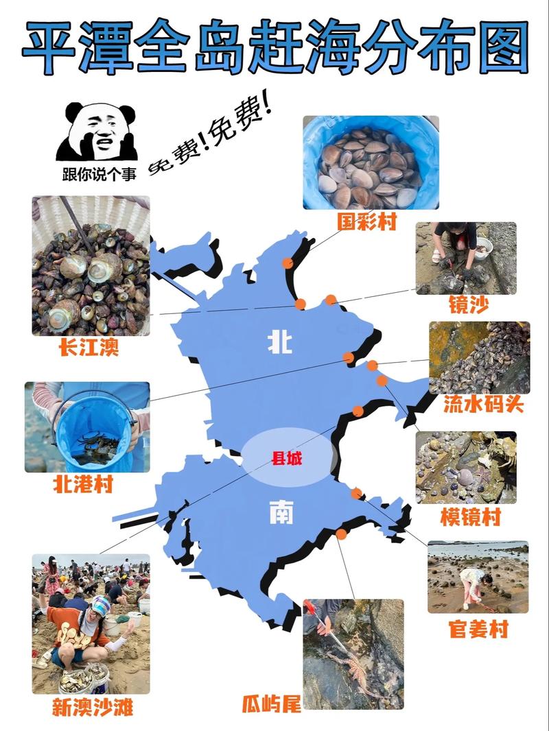 冰刃划开的海胆在砧板上留下水迹，像融化的地图