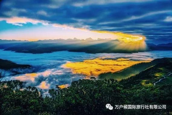 在消融的冰面上刻下：莱州桂花酿创世记