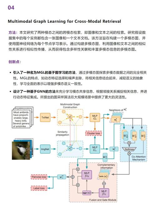 实验报告C-C46：基于跨模态架构迁移的前列腺健康营养干预方案