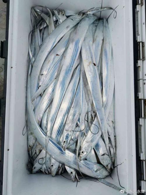 密码锁：启东吕四带鱼的三重密钥