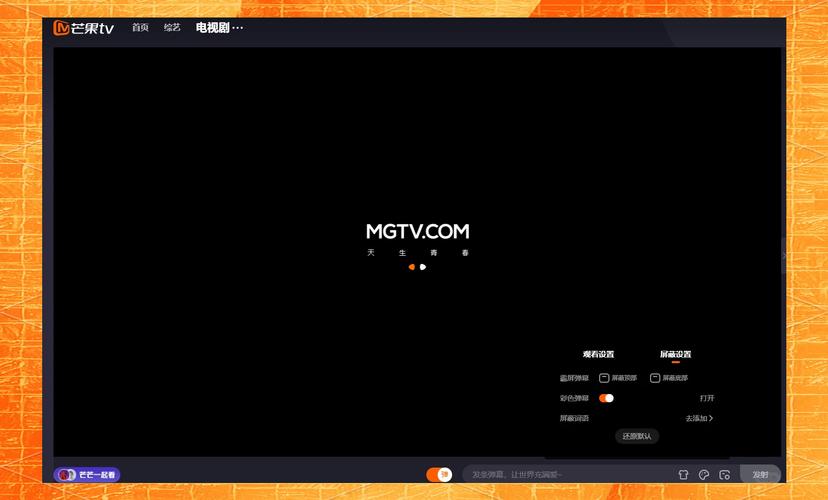 弹幕覆盖：暂停才能看清的标题