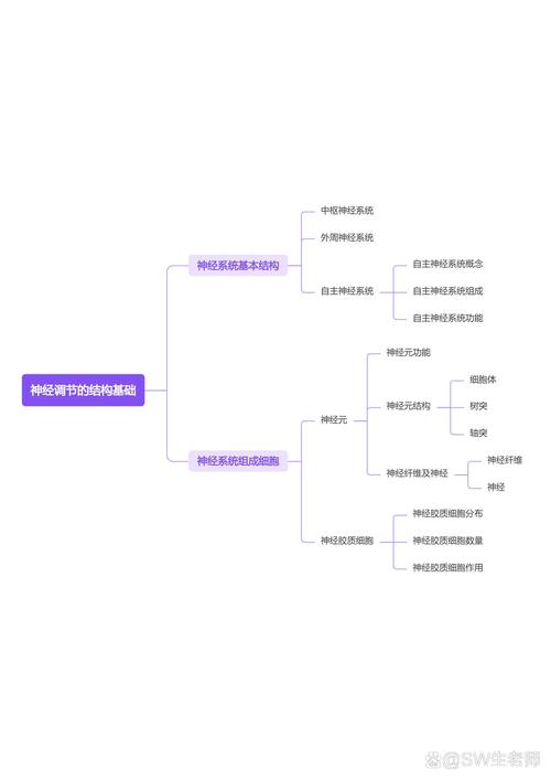 思维导图：七台河市的台湾金门高粱