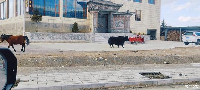 沙漏中的牦牛：被抹去的风干技艺