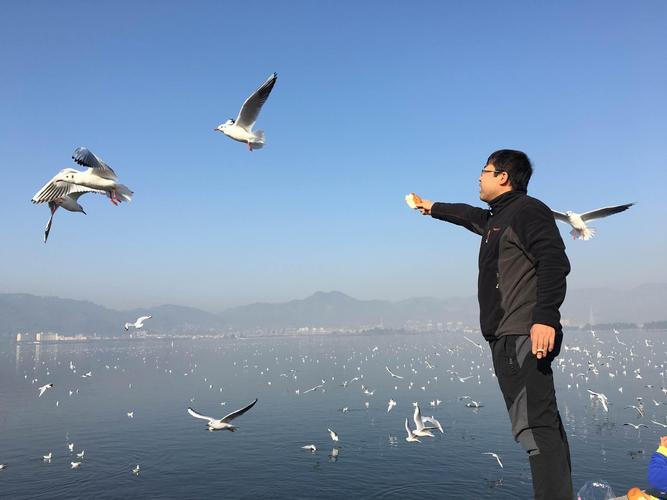 滴...黔西南频率...哈尔滨信号...滴...