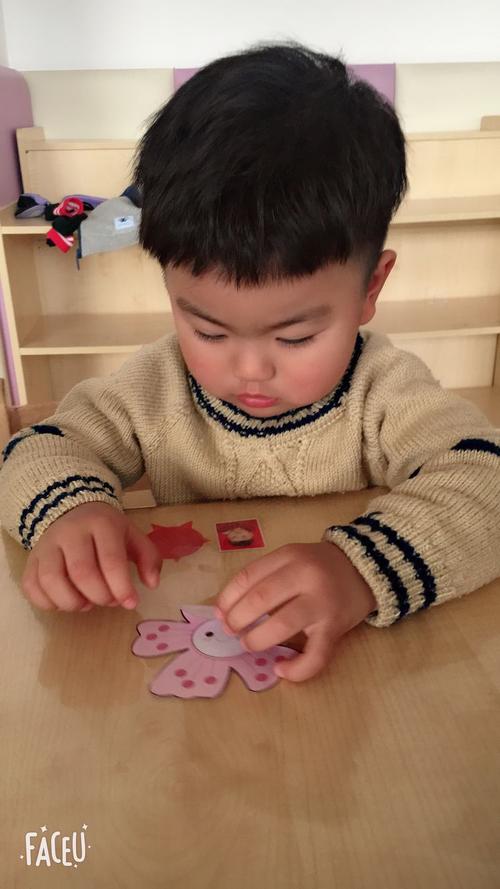 纸花绽放：七条时间线里的藏包子