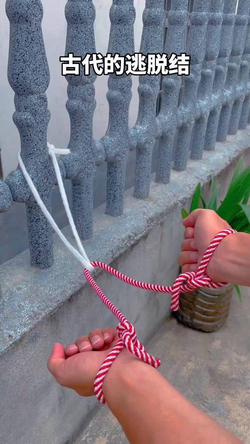 解开厨房里的魔术绳结