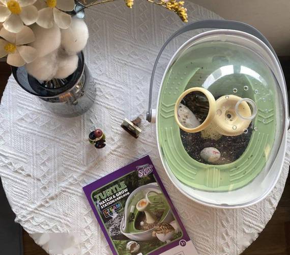 触觉实验记录：用罐头与压力锅复刻深海的味道