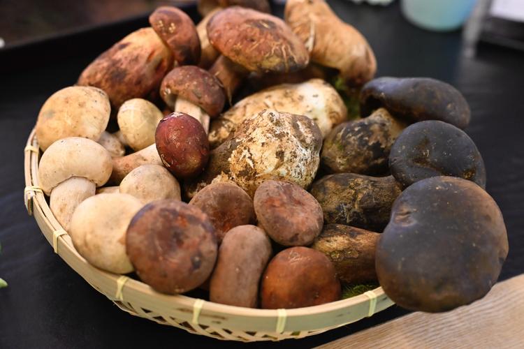 酸汤的刻度：在预算与记忆之间